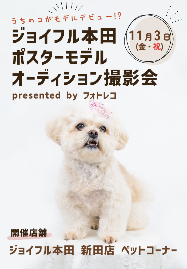ジョイフル本田 ポスターモデルオーディション撮影会