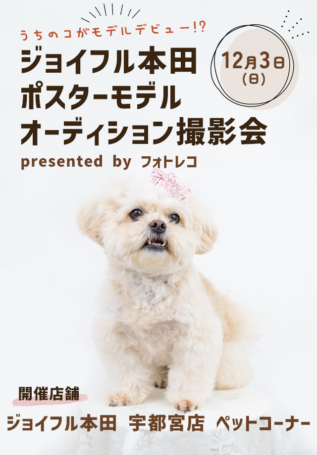 ジョイフル本田 ポスターモデルオーディション撮影会