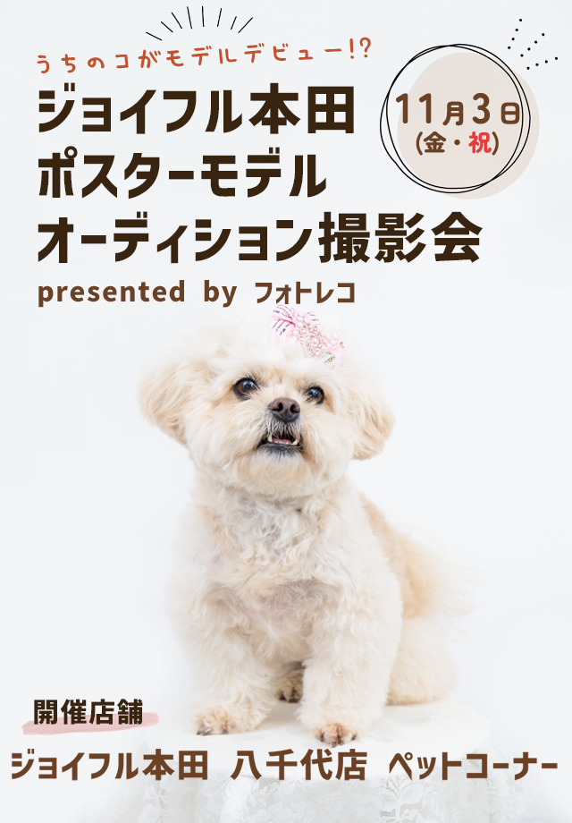 ジョイフル本田 ポスターモデルオーディション撮影会
