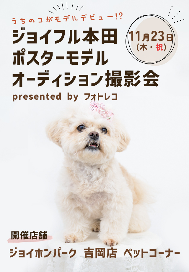 ジョイフル本田 ポスターモデルオーディション撮影会