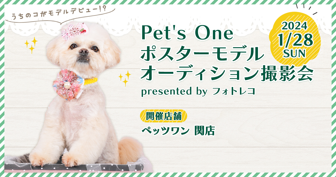 カインズ（Pet’s One） ポスターモデルオーディション撮影会