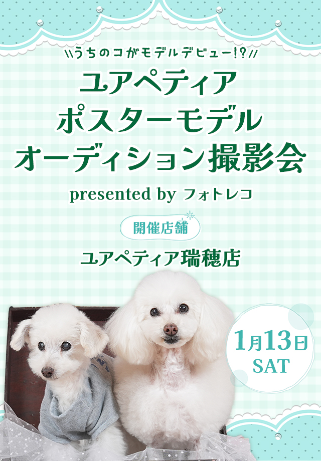 ユアペティア ポスターモデルオーディション撮影会