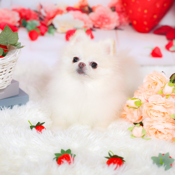 2025年8月受賞者