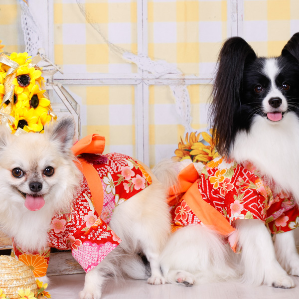 2025年9月受賞者