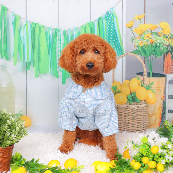 2025年10月受賞者