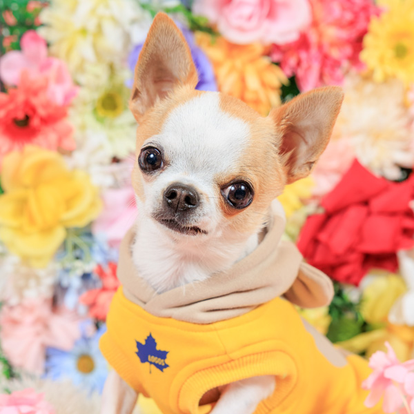 2025年11月受賞者