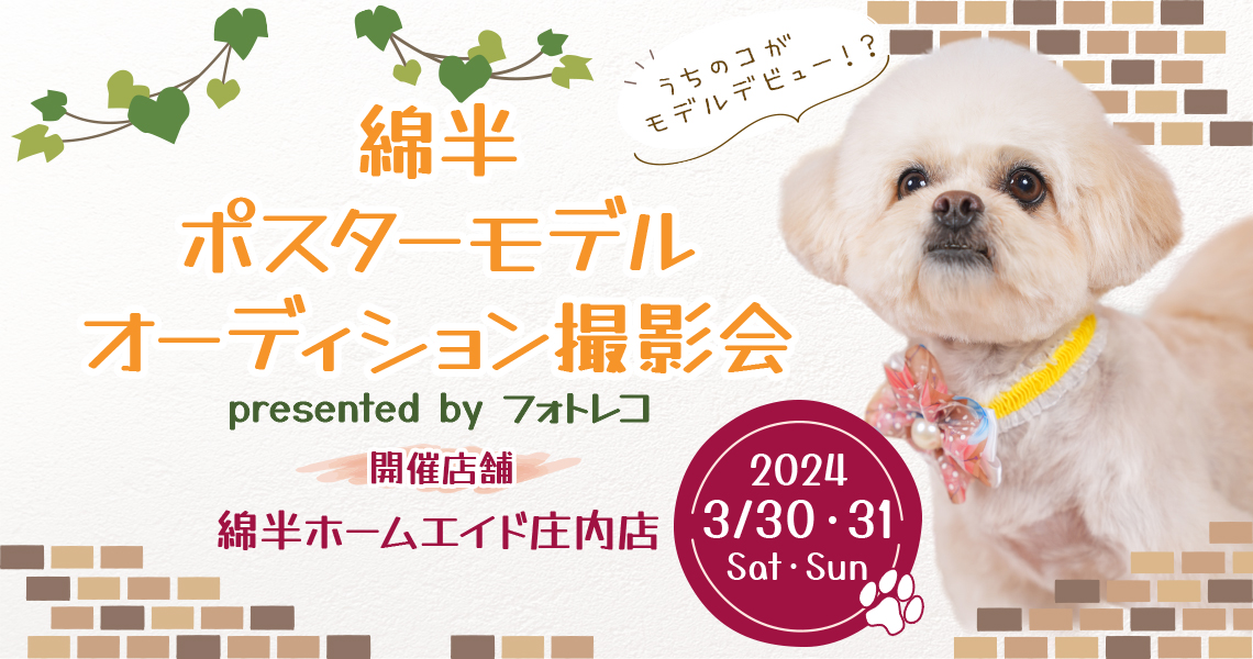 綿半 ポスターモデルオーディション撮影会