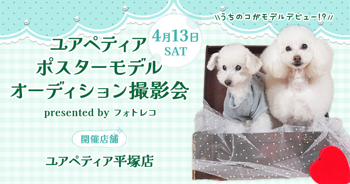 ユアペティア ポスターモデルオーディション撮影会
