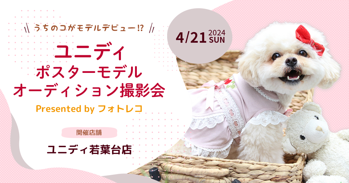 ユニディ ポスターモデルオーディション撮影会