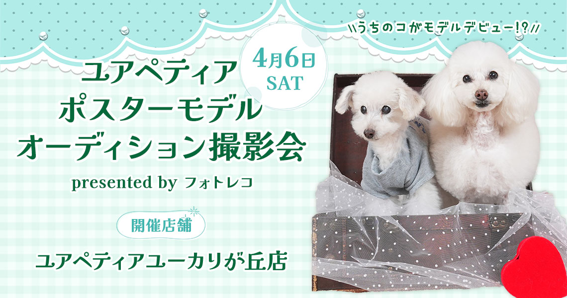ユアペティア ポスターモデルオーディション撮影会