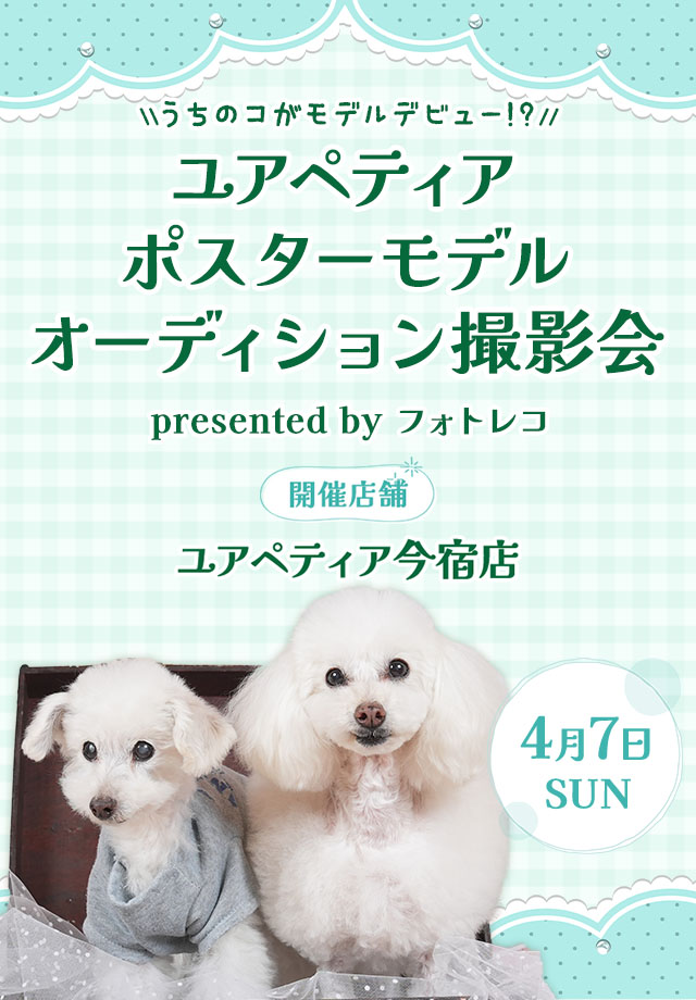 ユアペティア ポスターモデルオーディション撮影会