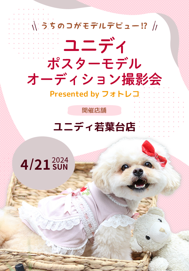 ユニディ ポスターモデルオーディション撮影会