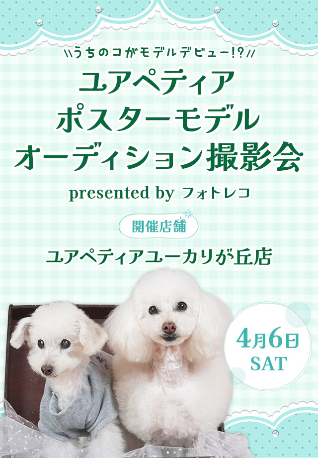 ユアペティア ポスターモデルオーディション撮影会