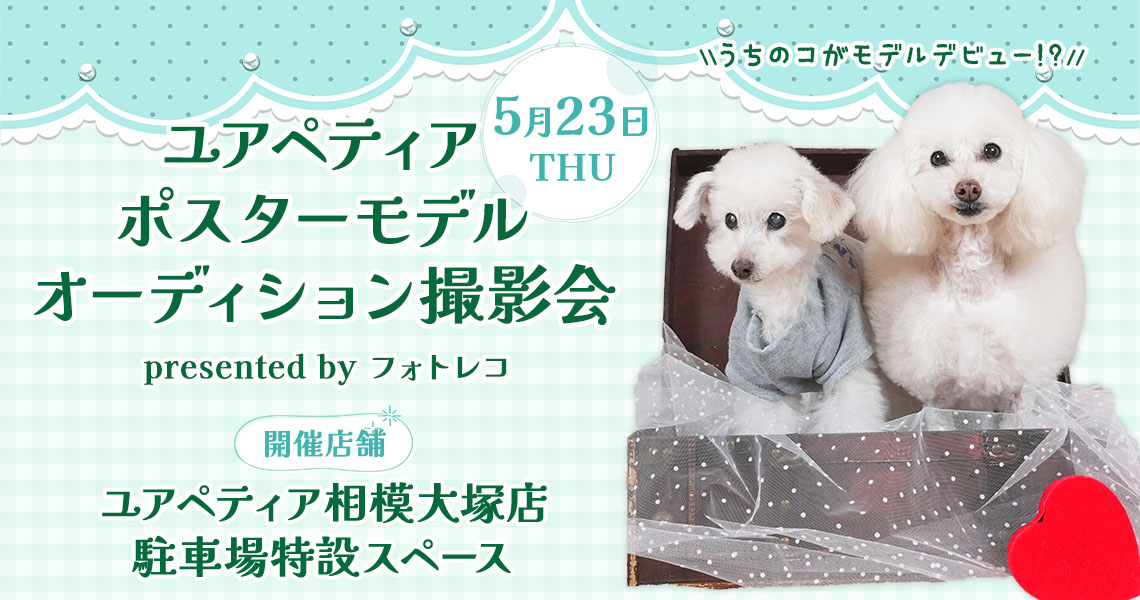 ユアペティア ポスターモデルオーディション撮影会