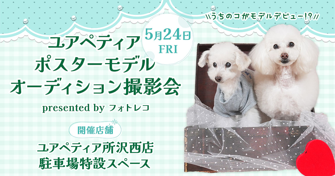 ユアペティア ポスターモデルオーディション撮影会