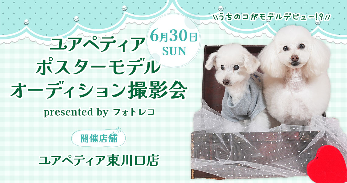 ユアペティア ポスターモデルオーディション撮影会