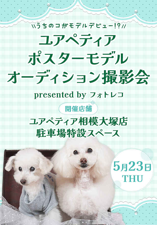 ユアペティア ポスターモデルオーディション撮影会