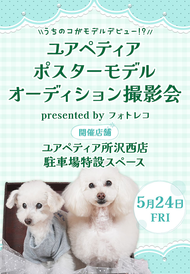 ユアペティア ポスターモデルオーディション撮影会
