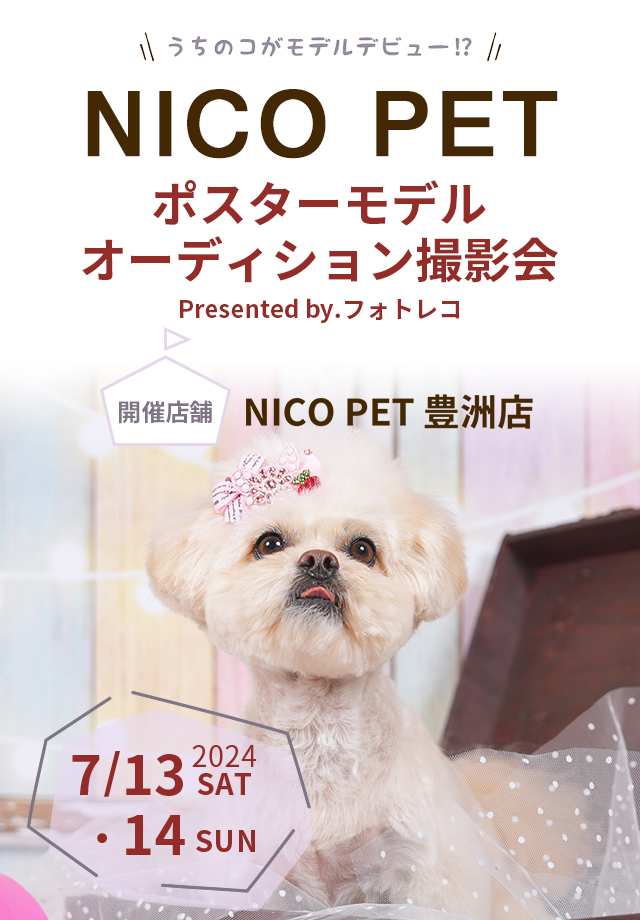 NICO PET ポスターモデルオーディション撮影会