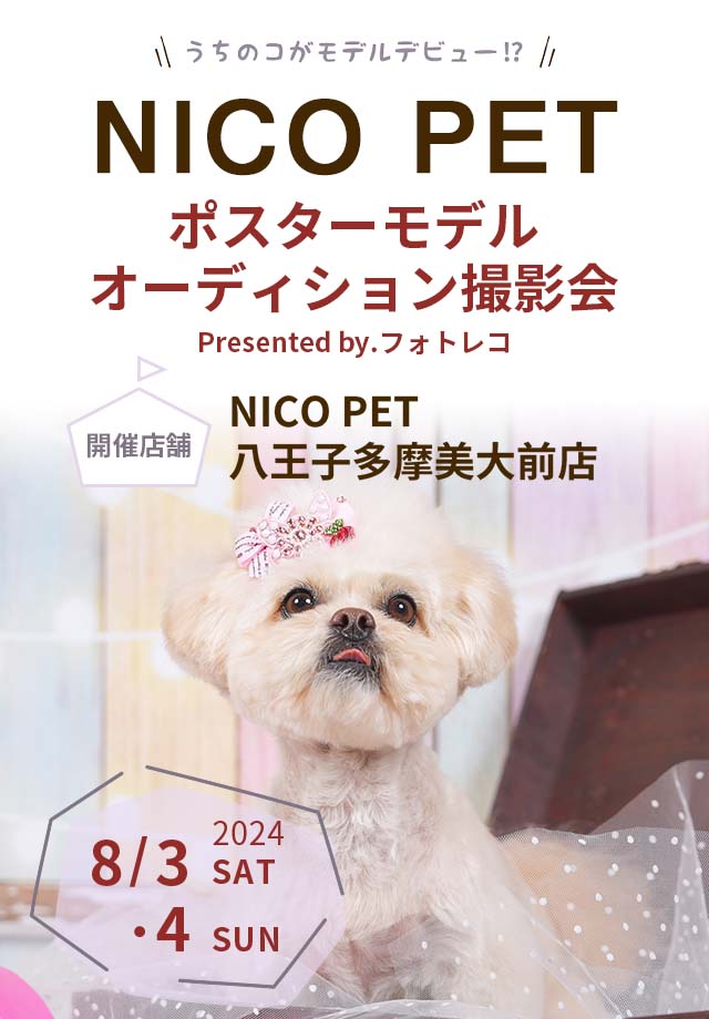 NICO PET ポスターモデルオーディション撮影会