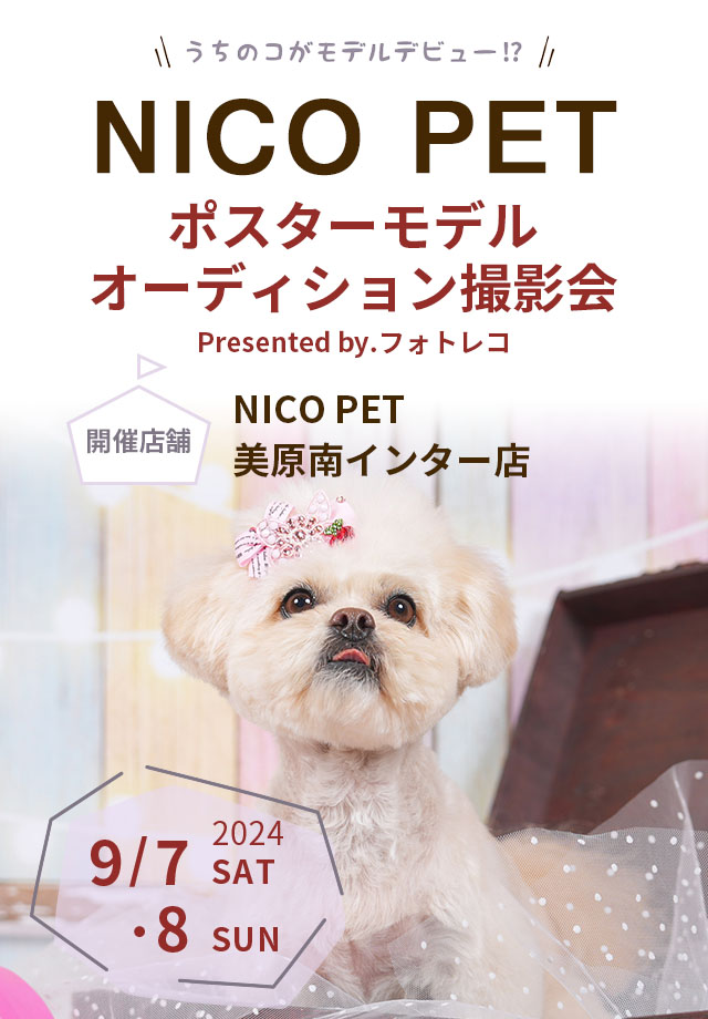 NICO PET ポスターモデルオーディション撮影会