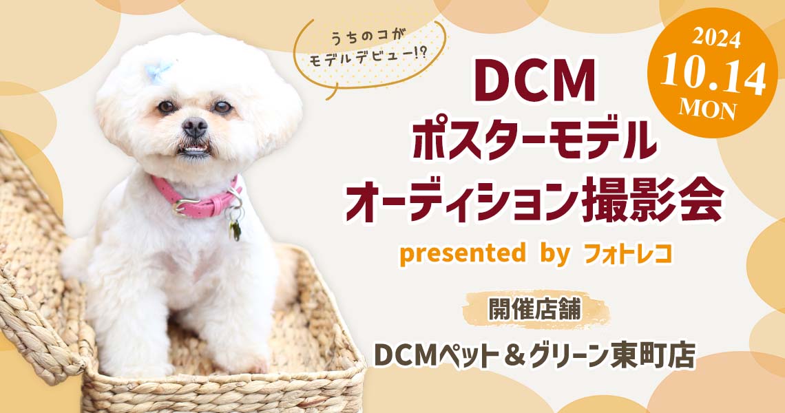 DCM ポスターモデルオーディション撮影会