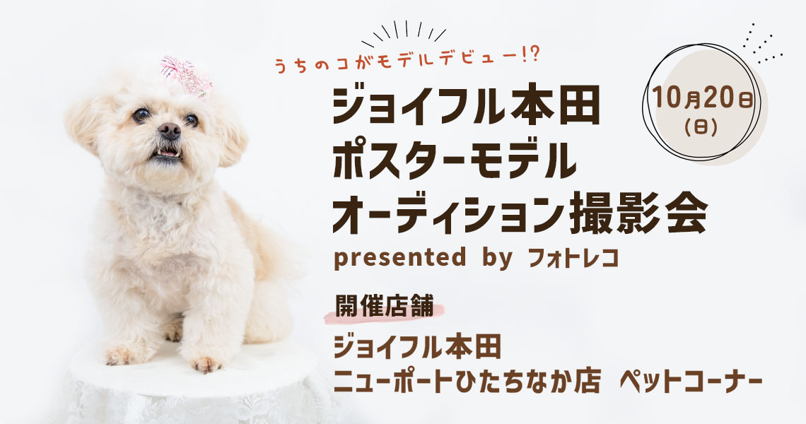 ジョイフル本田 ポスターモデルオーディション撮影会