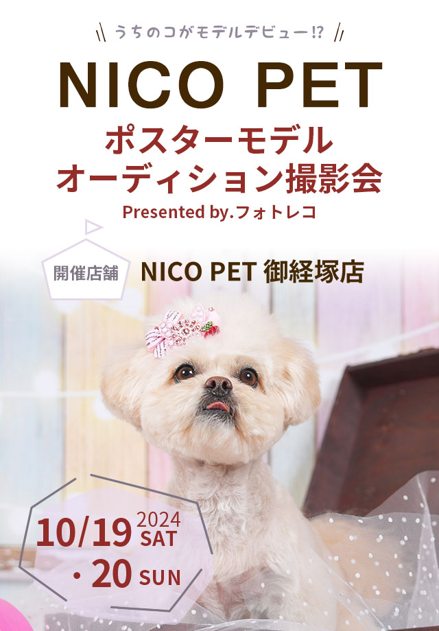 NICO PET ポスターモデルオーディション撮影会