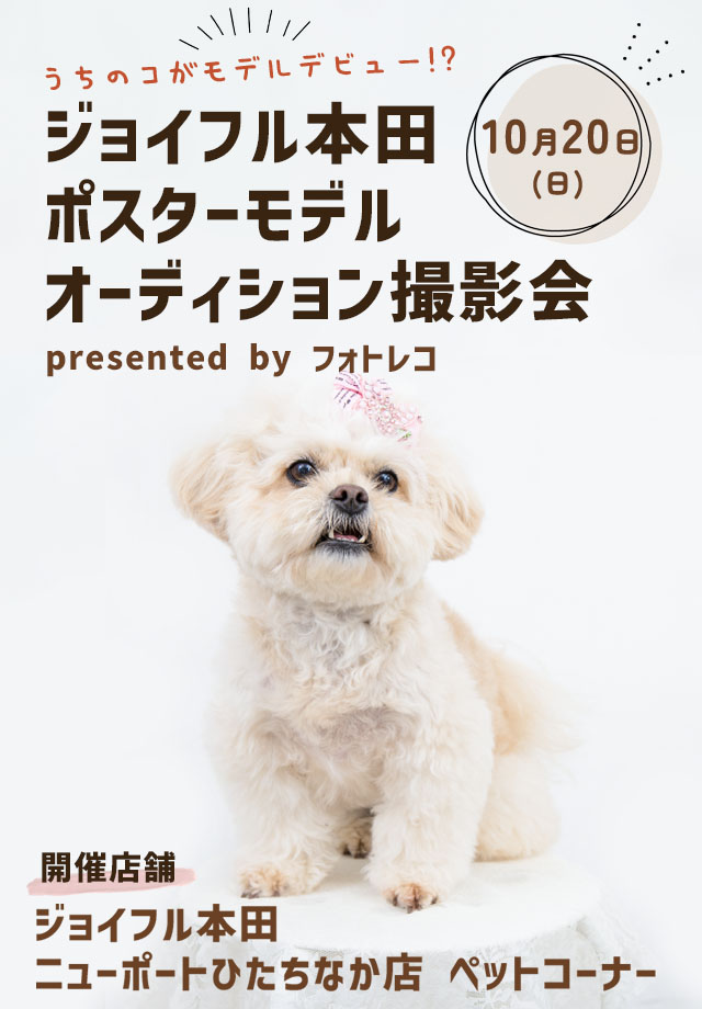 ジョイフル本田 ポスターモデルオーディション撮影会