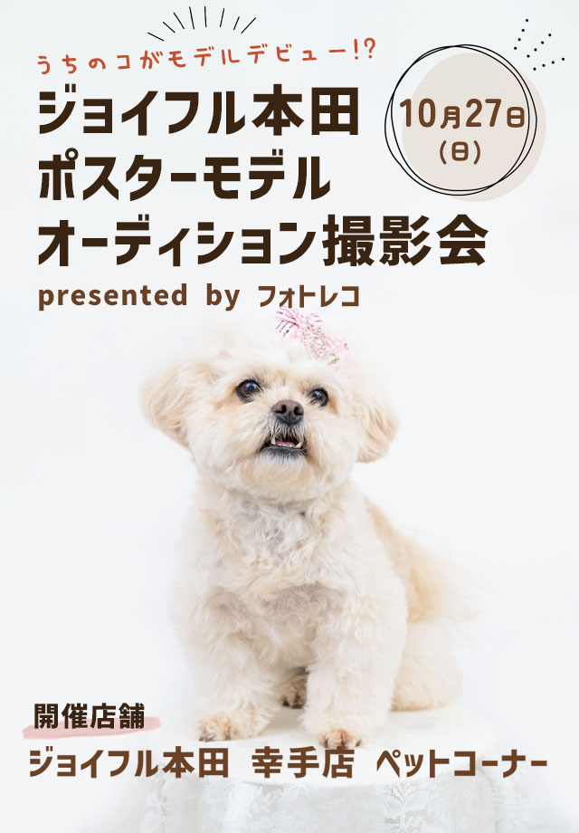 ジョイフル本田-瑞穂店 2月29日 3月1日 土 日 ペット撮影会 ジョイフル本田 瑞穂店 2月29日