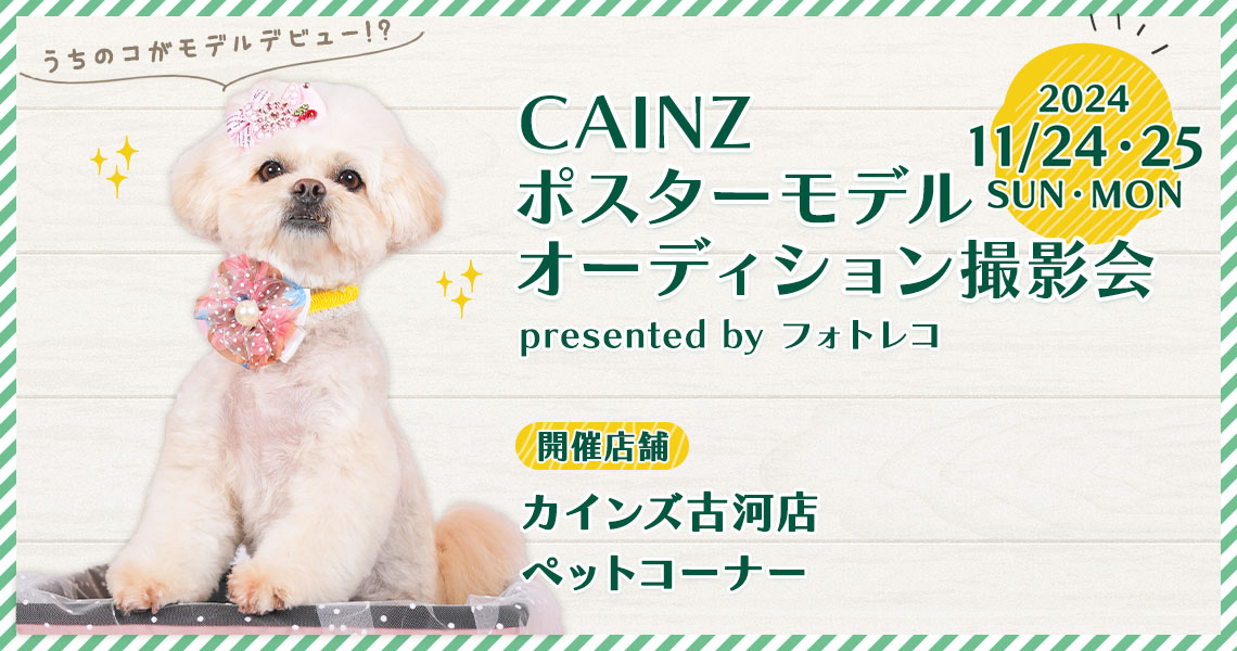 カインズ（Pet’s One） ポスターモデルオーディション撮影会