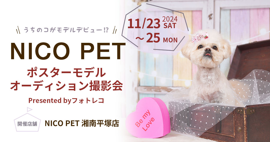 NICO PET ポスターモデルオーディション撮影会