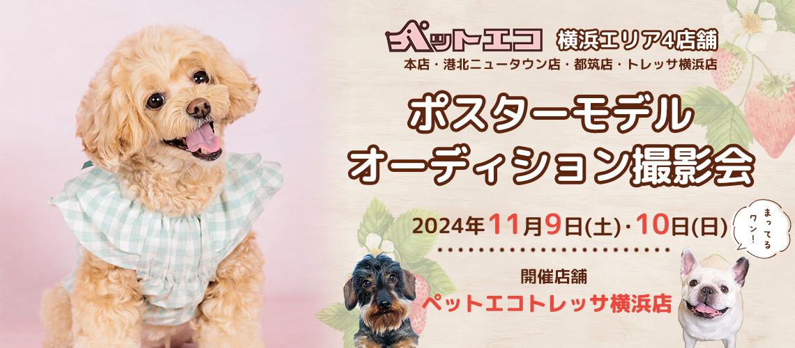 ペットエコ ポスターモデルオーディション撮影会