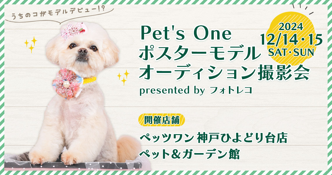 カインズ(Pet’s One) ポスターモデルオーディション撮影会