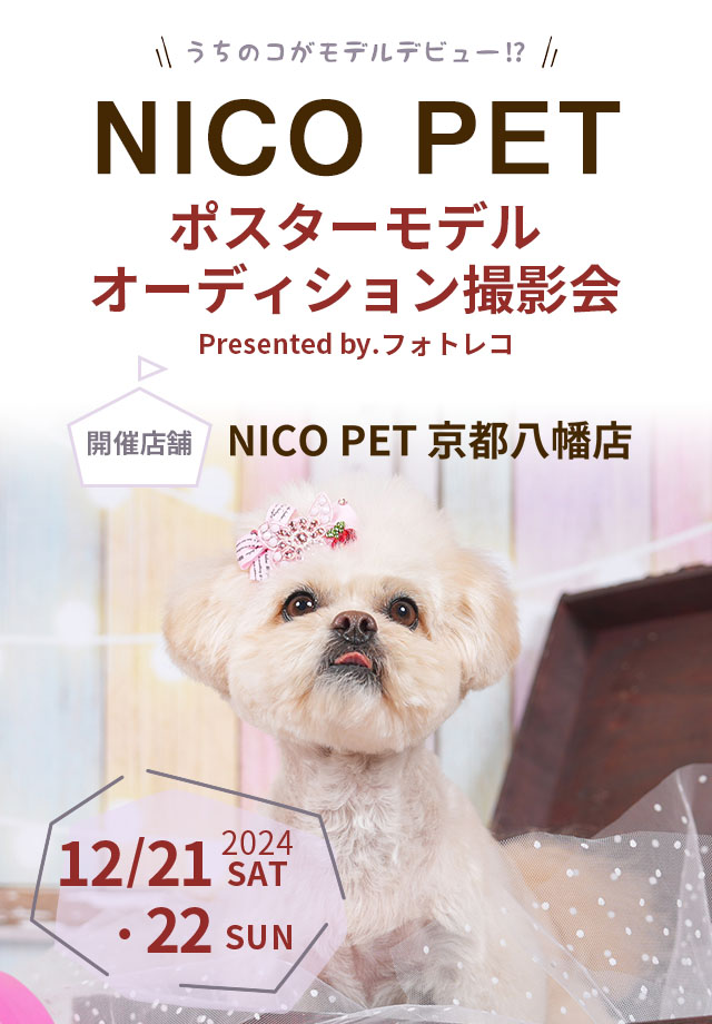 NICO PET ポスターモデルオーディション撮影会