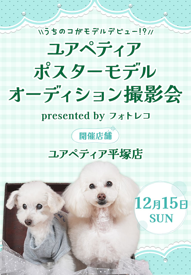 ユアペティア ポスターモデルオーディション撮影会