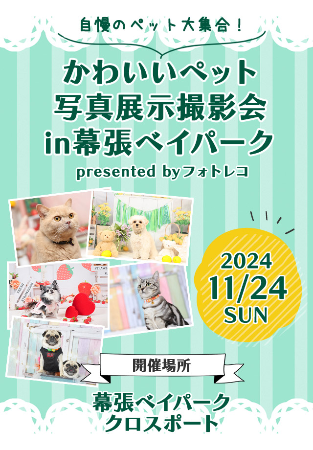 ペット写真確認ページ 幕張ベイパーク 2024年11月24日(日) | フォトレコペット撮影会