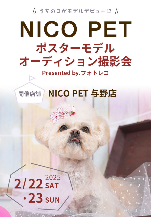 NICO PET ポスターモデルオーディション撮影会