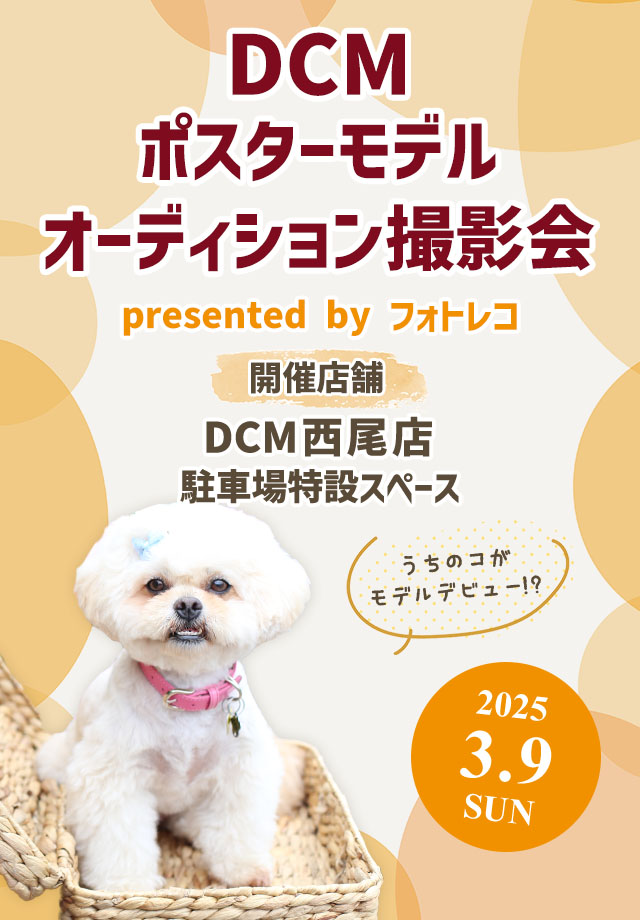DCM ポスターモデルオーディション撮影会