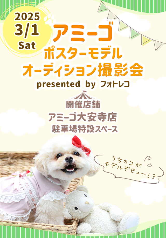 アミーゴ ポスターモデルオーディション撮影会