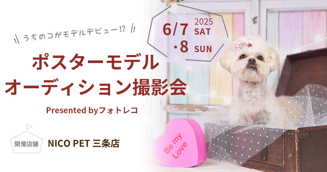 ニコペット・ビバホーム・ムサシ ポスターモデルオーディション撮影会