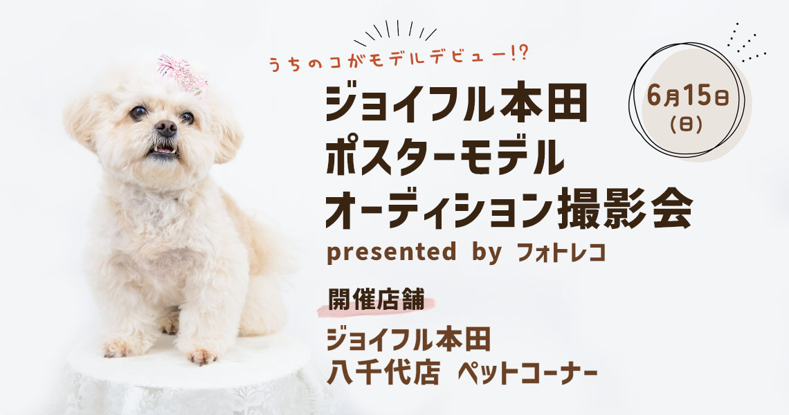 ジョイフル本田 ポスターモデルオーディション撮影会