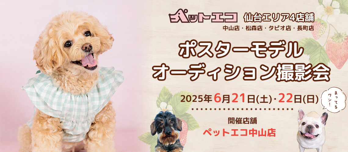 ペットエコ ポスターモデルオーディション撮影会