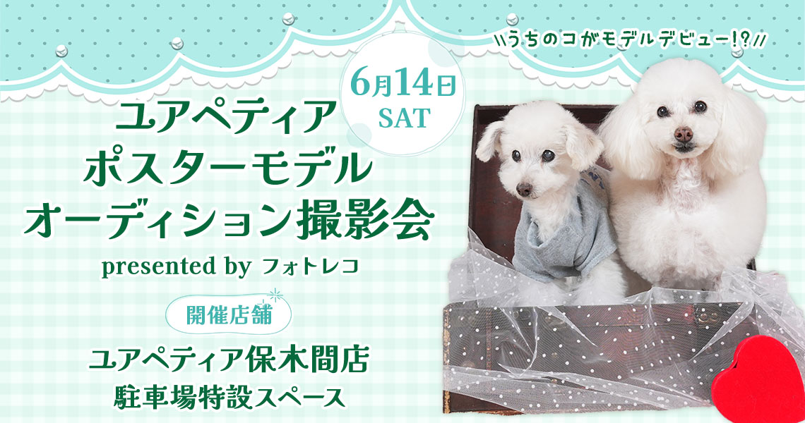 ユアペティア ポスターモデルオーディション撮影会