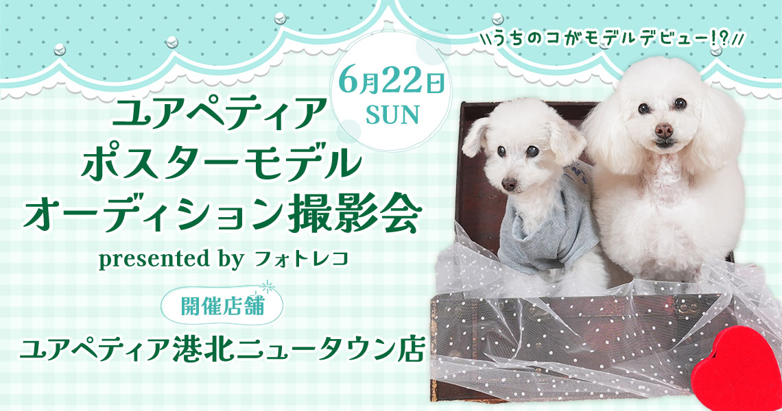 ユアペティア ポスターモデルオーディション撮影会