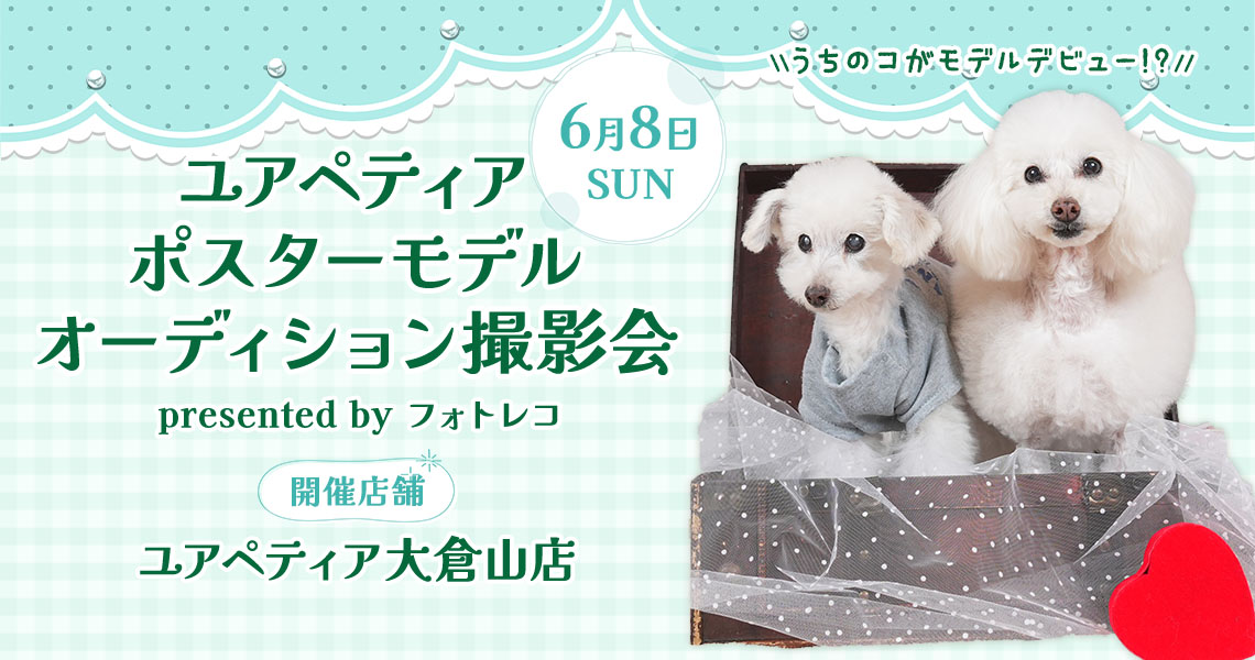 ユアペティア ポスターモデルオーディション撮影会