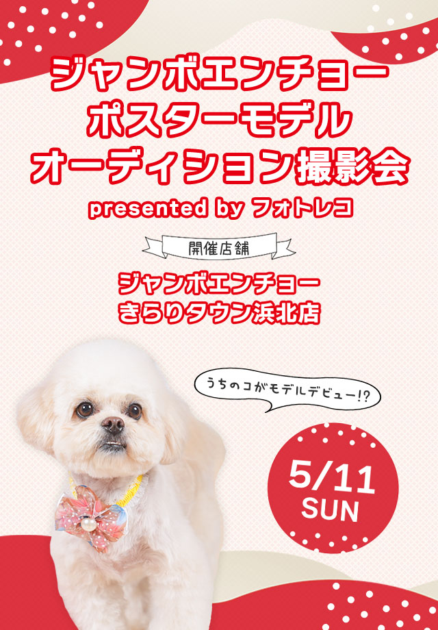 ジャンボエンチョー・ホームアシスト・Zoo Square ポスターモデルオーディション撮影会