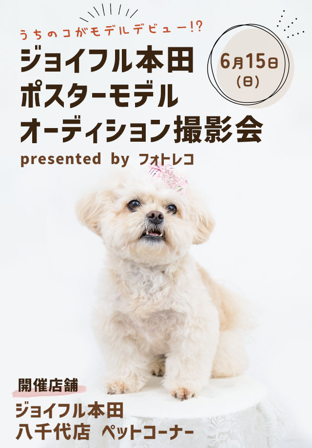 ジョイフル本田 ポスターモデルオーディション撮影会