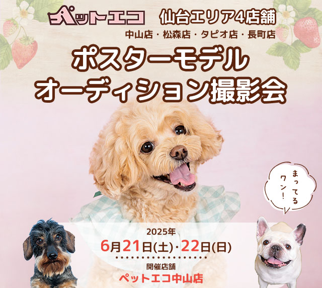 ペットエコ ポスターモデルオーディション撮影会