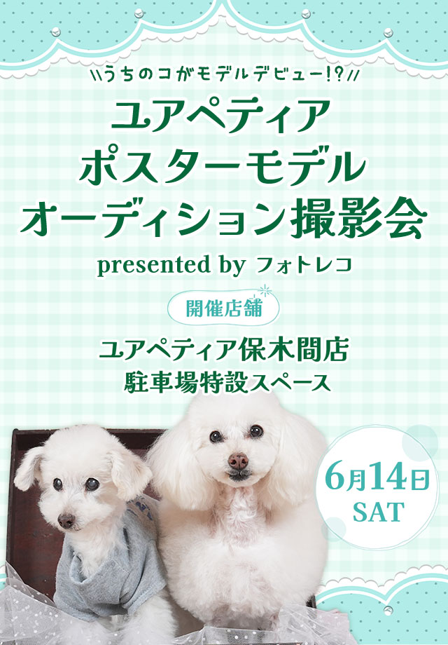 ユアペティア ポスターモデルオーディション撮影会